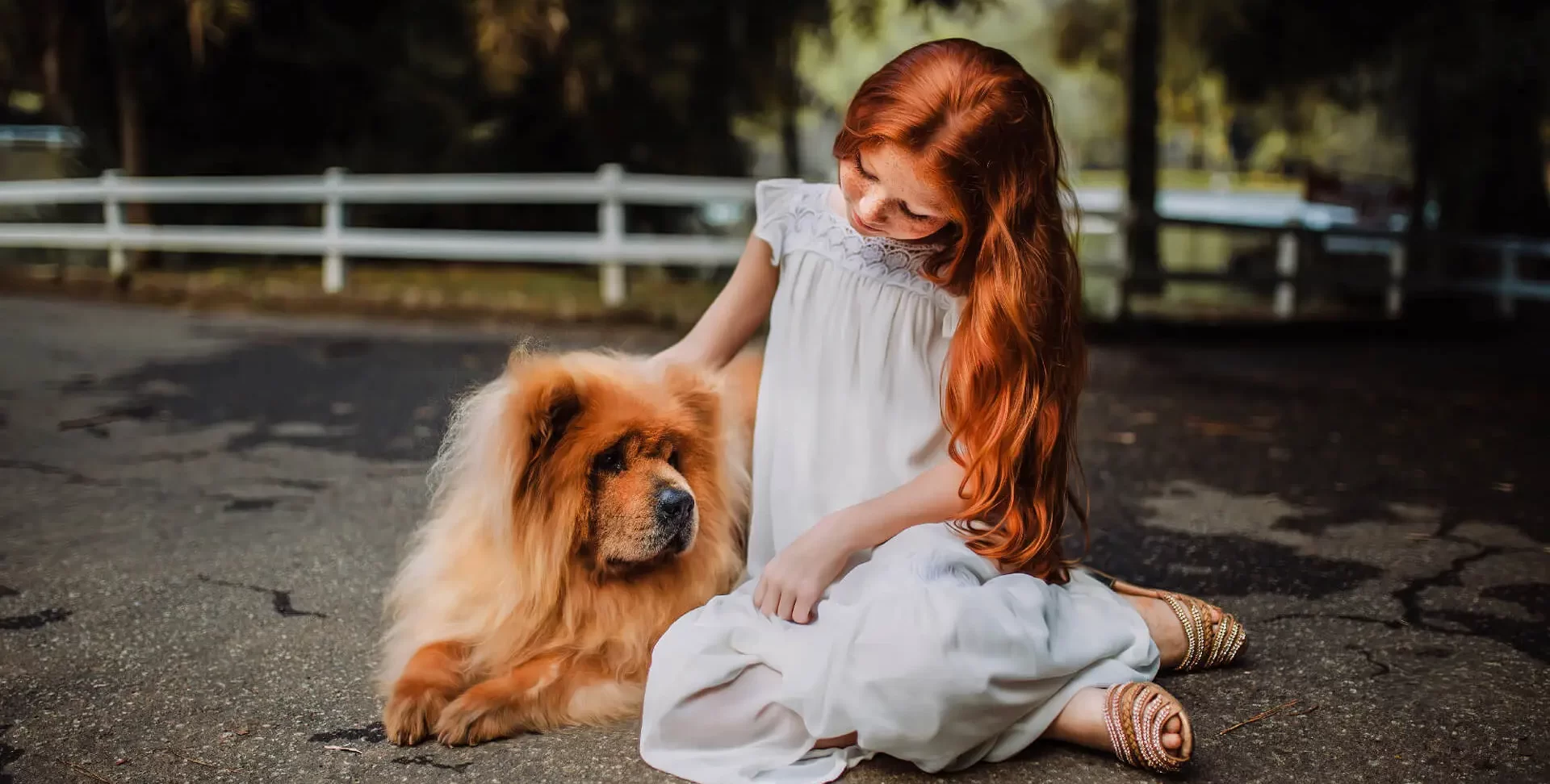The girl with dog
